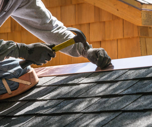 Best Roof Gutter Cleaning  in Beaumont, TX